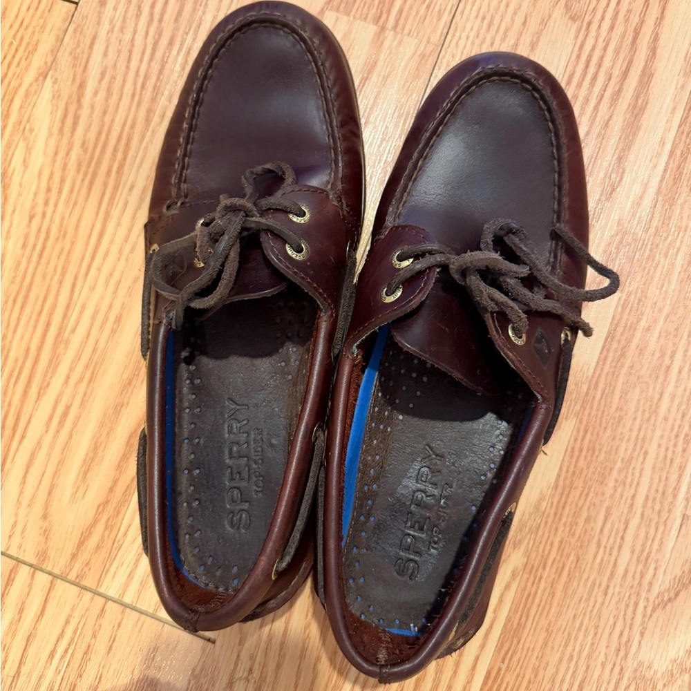 Sperry Men's Dark Brown Leather Boat Shoes